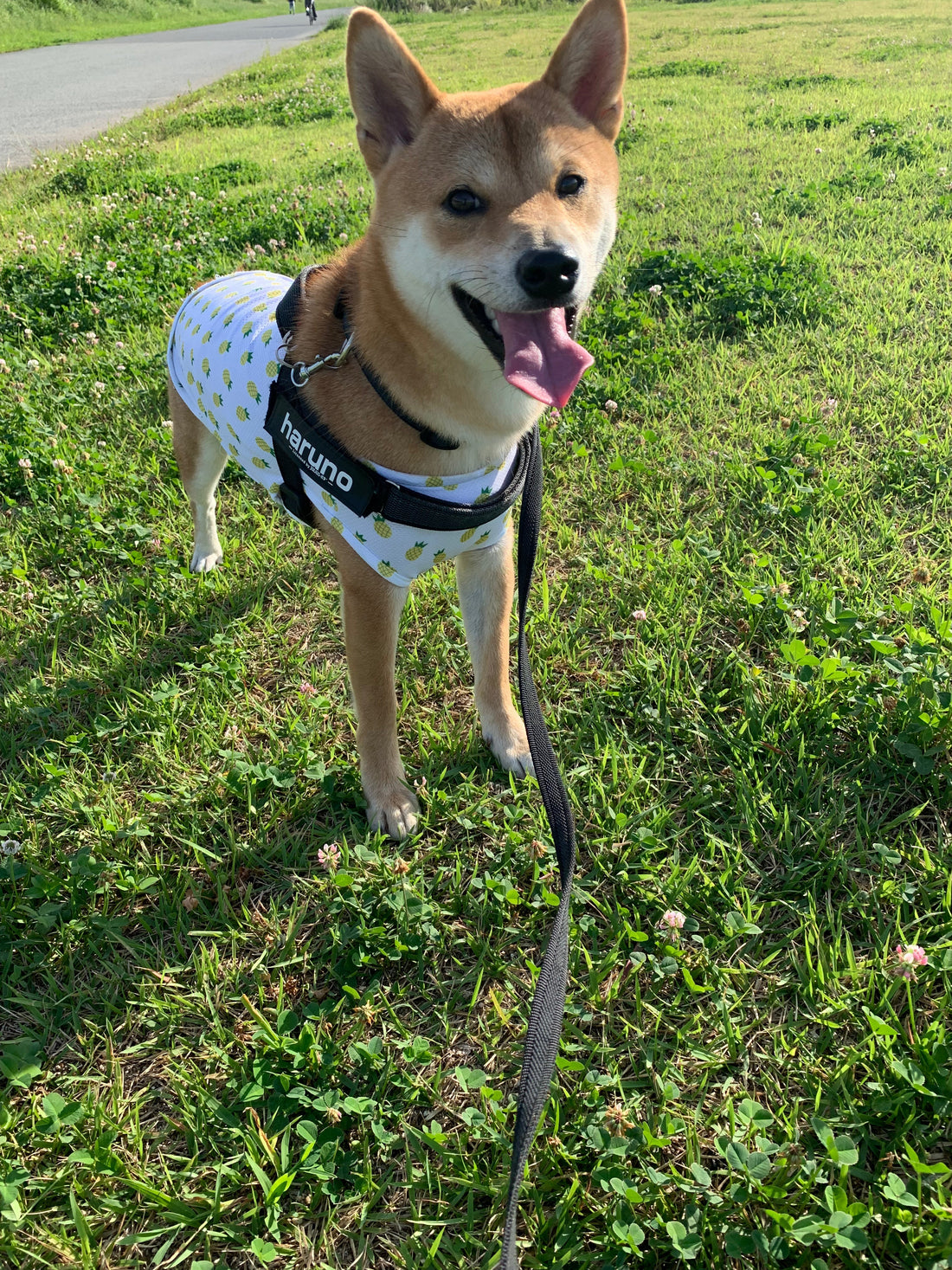 意外と足りていない!?【一日に必要な水分量】はどのくらい?