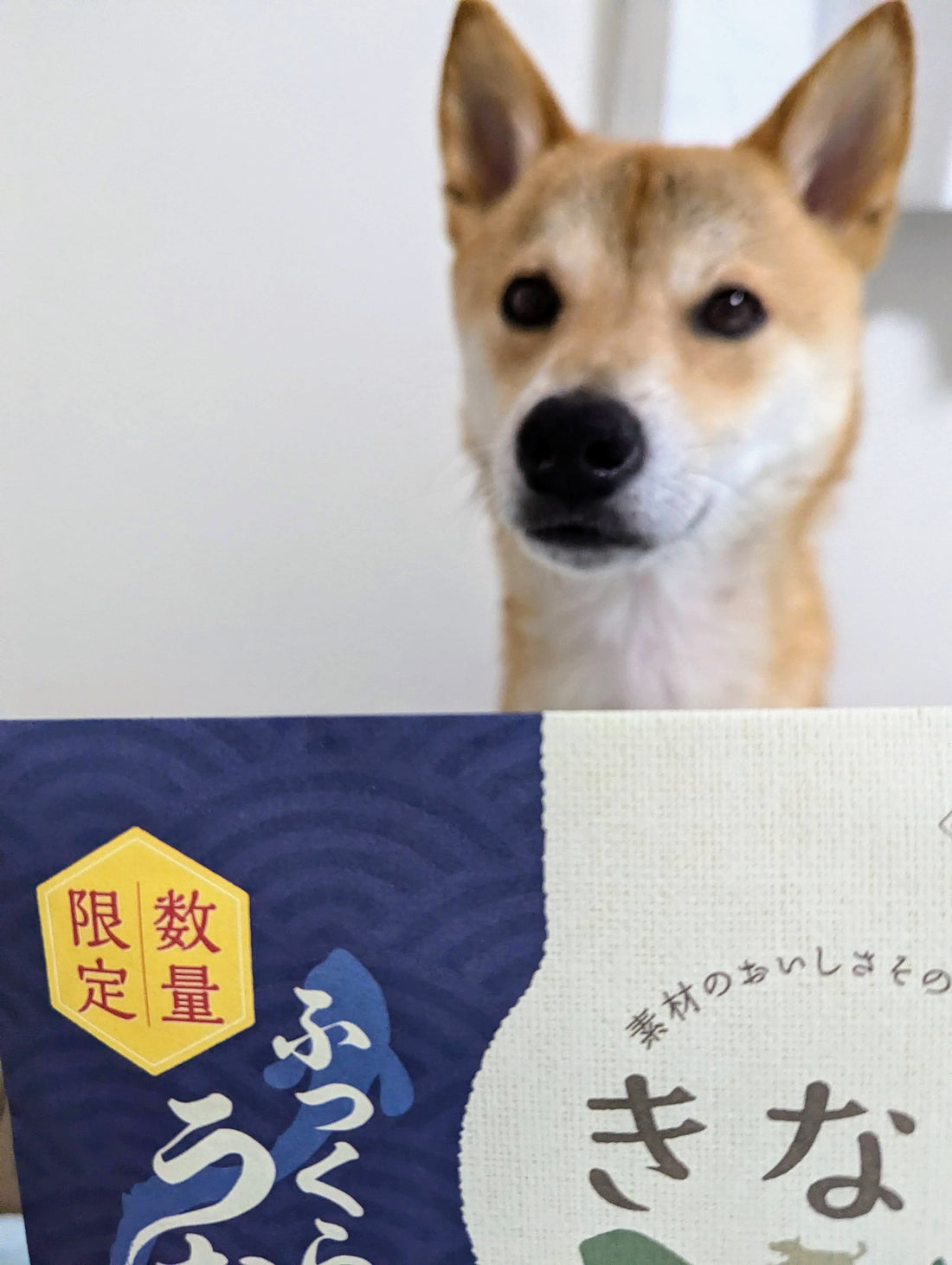 期間限定・お早めに!きなり・うなぎジャーキー販売中です(^^)/