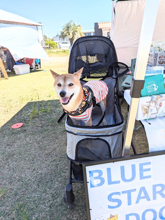 【マルシェ出店のお知らせ】2025.10.5淀川河川敷フェスティバルに出店します