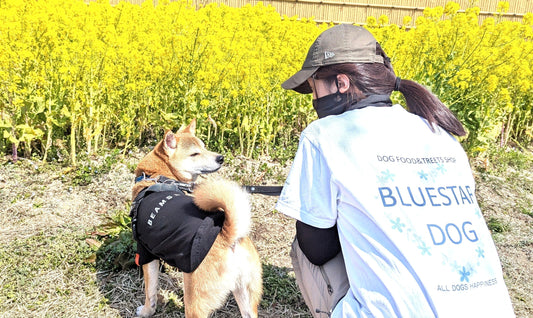 店名は、ブルースターの花言葉「幸福な愛」から(^^♪