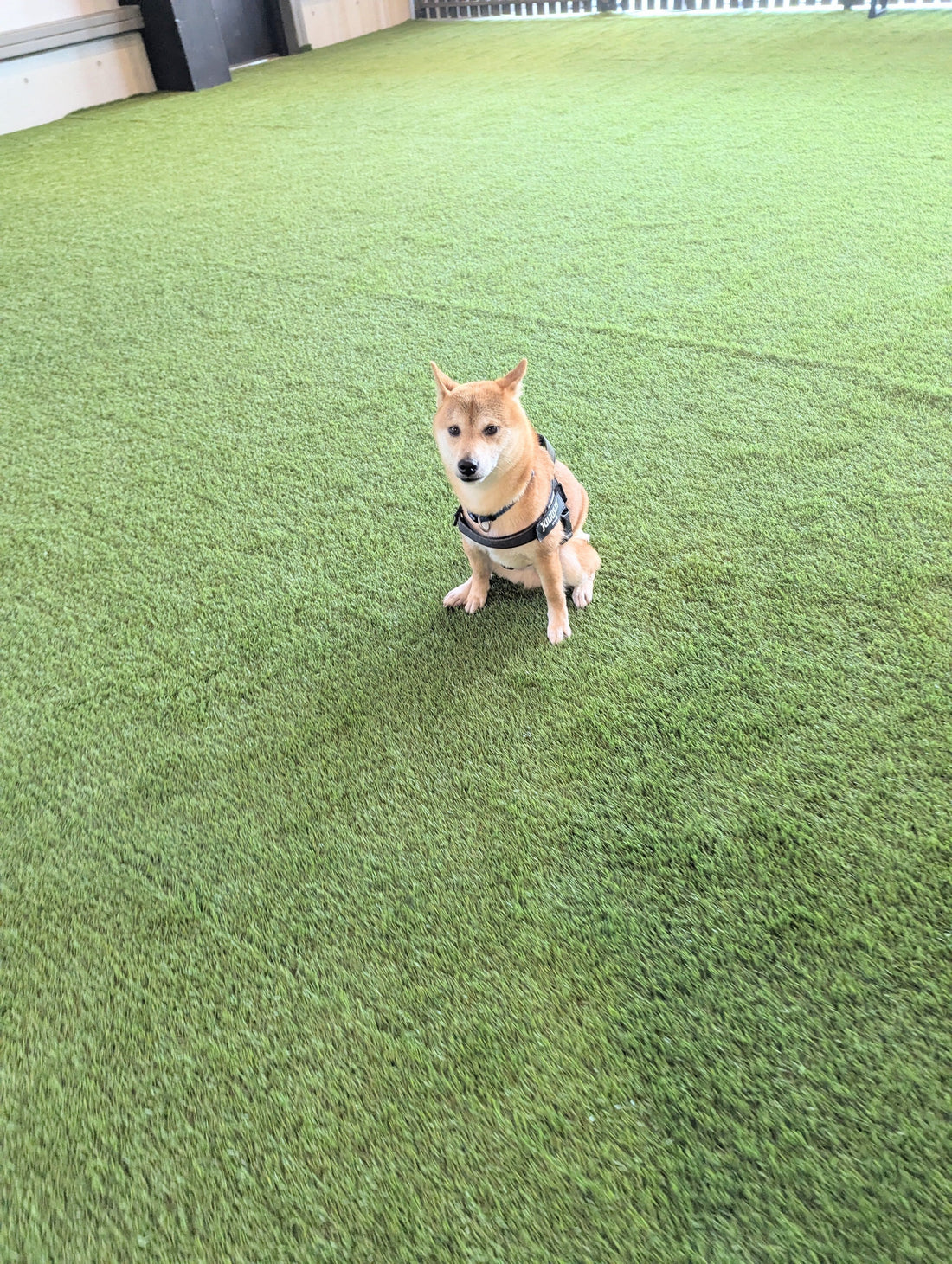 暑い日の運動不足解消!室内でできる遊びのアイデア5選(^^)/