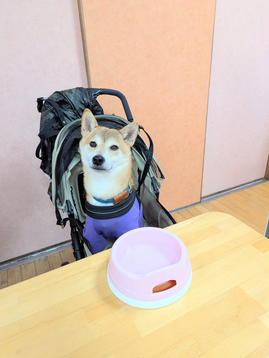 寒暖差が大きい季節。秋にかけて摂りたい食材と栄養素4選&トッピング