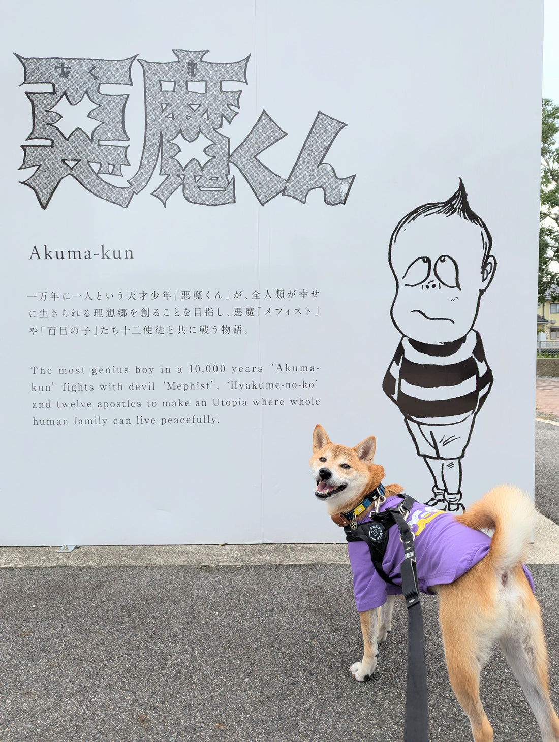 9月20日から26日は動物愛護週間です(*^_^*)