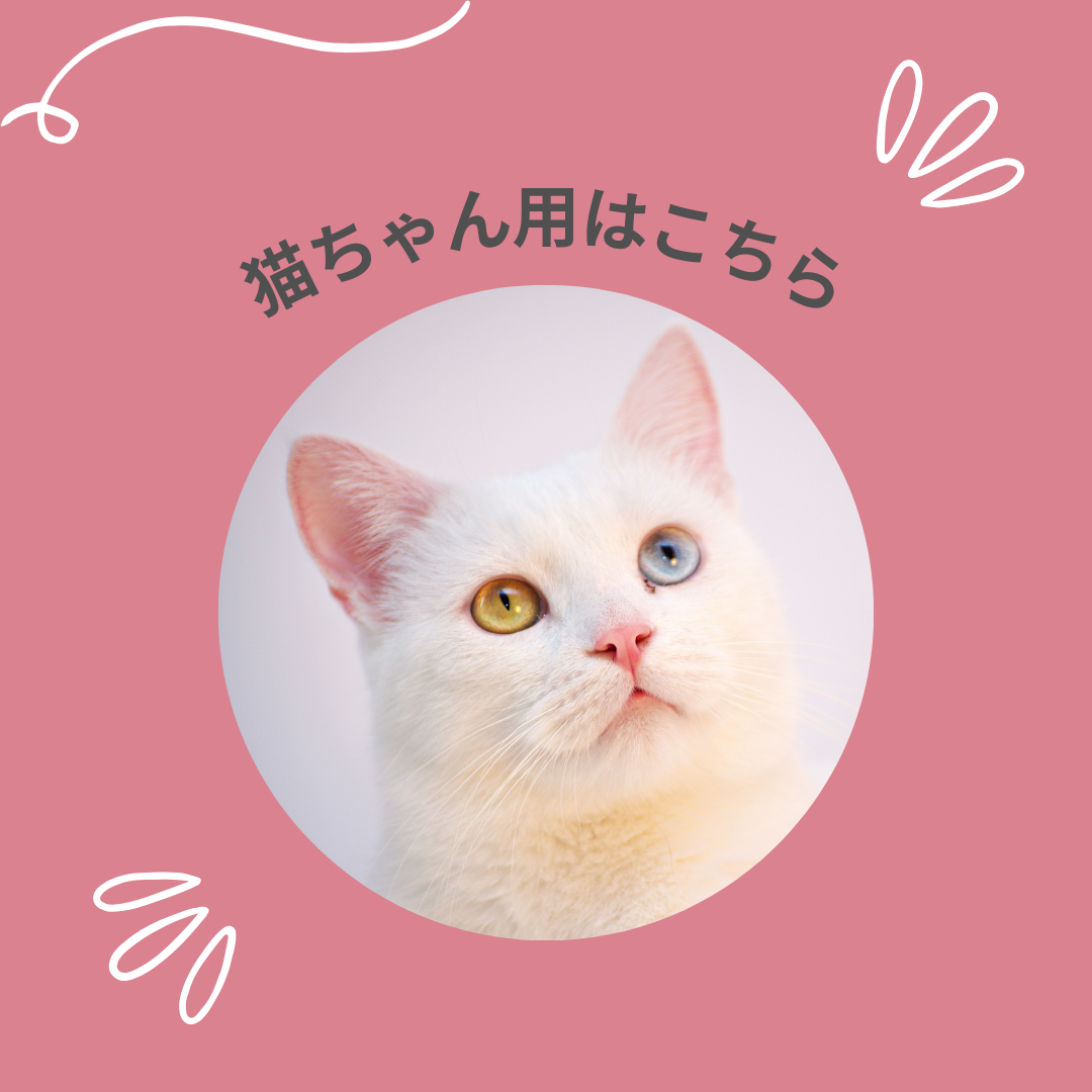 猫用フード&おやつ