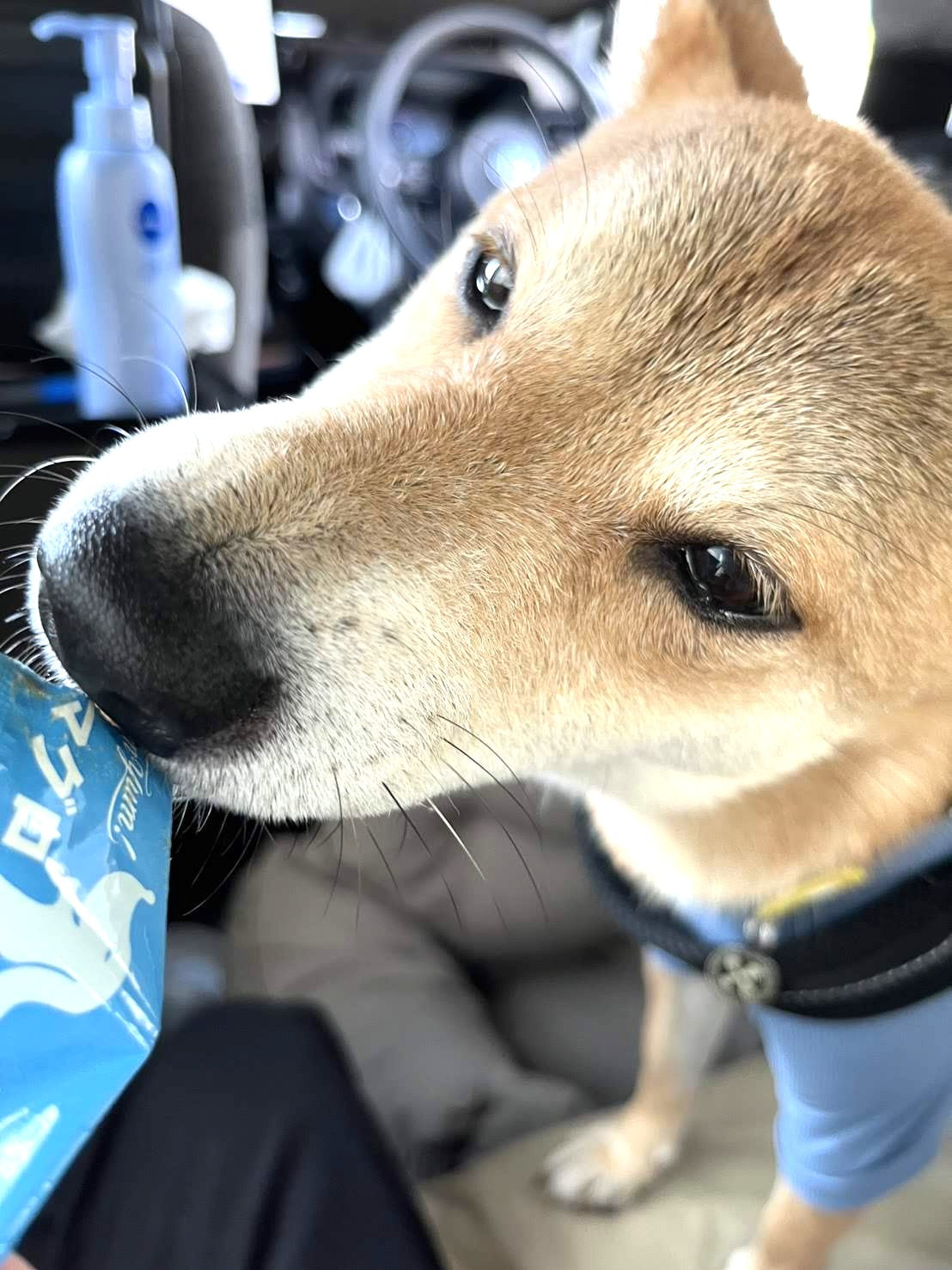 【yum yum yum!】 ふんわりソース仕立て マグロ(10g×6本)