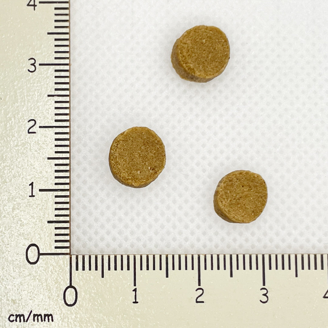 【yum yum yum!】ドッグフード  チキン ドライタイプ(ちょこっとパック50g)