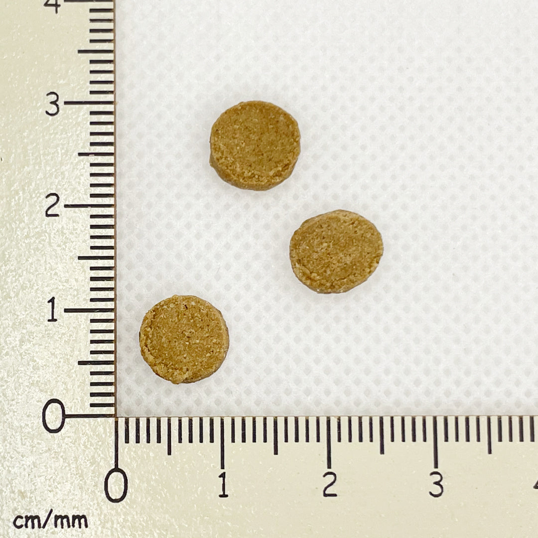 【yum yum yum!】ドッグフード 馬肉 ドライタイプ(ちょこっとパック50g)