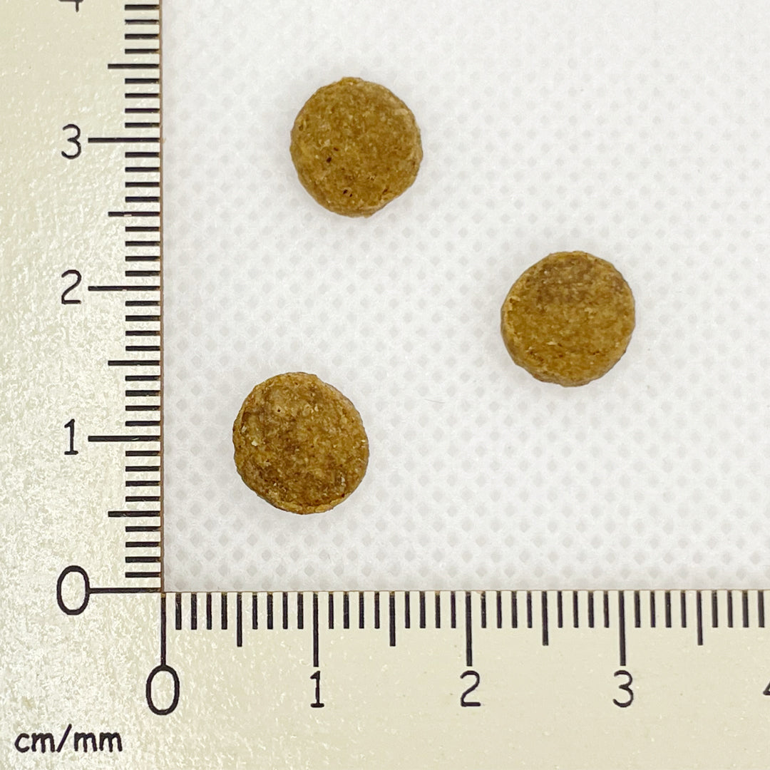 【yumyumyum!】ドッグフード マグロ ドライタイプ(ちょこっとパック50g)