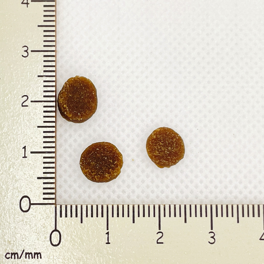 【yum yum yum!】ドッグフード チキン やわらかドライタイプ(ちょこっとパック80g)