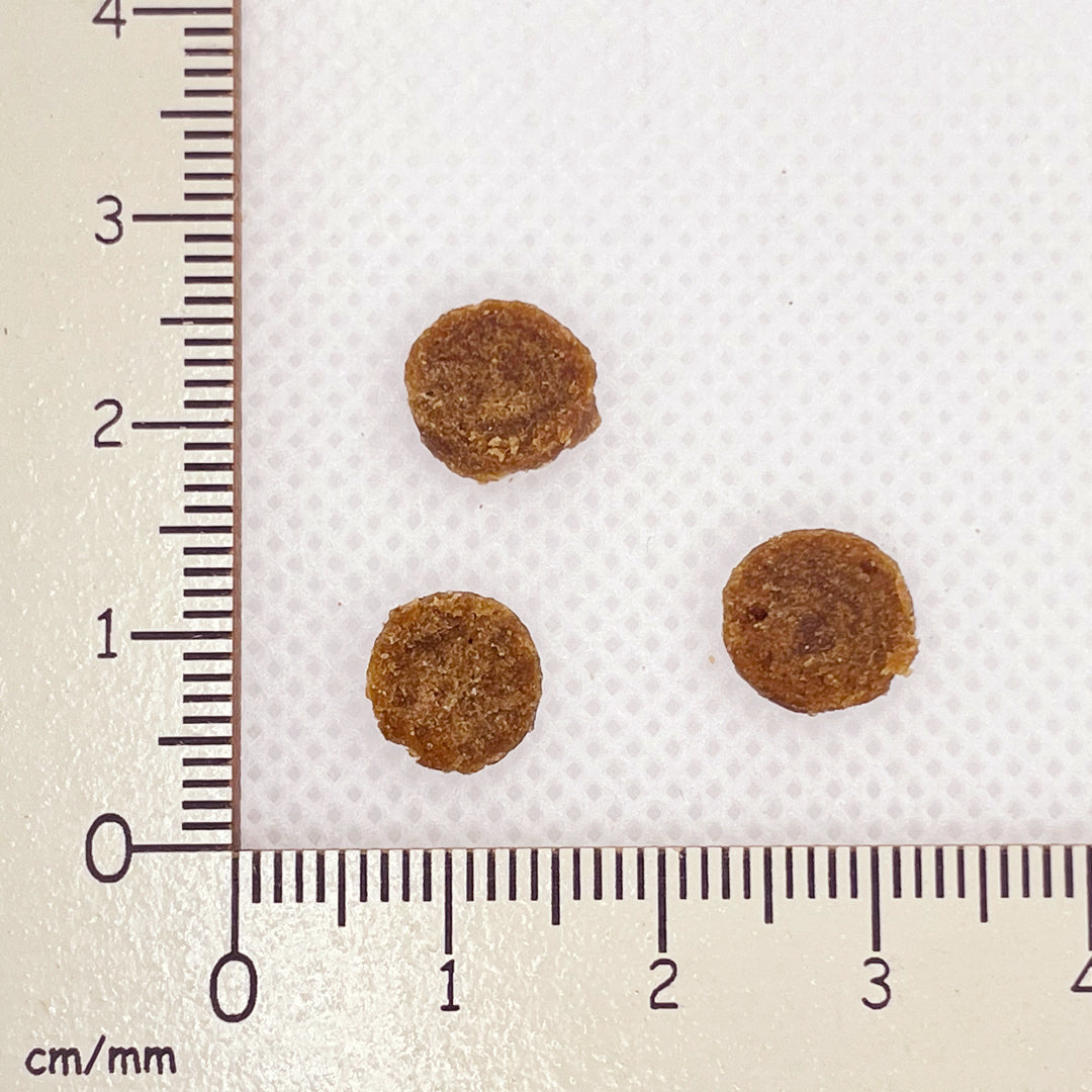 【yum yum yum!】ドッグフード 馬肉 やわらかドライタイプ(ちょこっとパック80g)