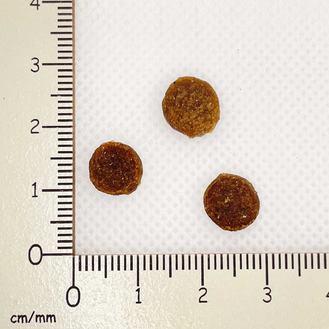 【yum yum yum!】ドッグフード マグロ やわらかドライタイプ(ちょこっとパック80g)