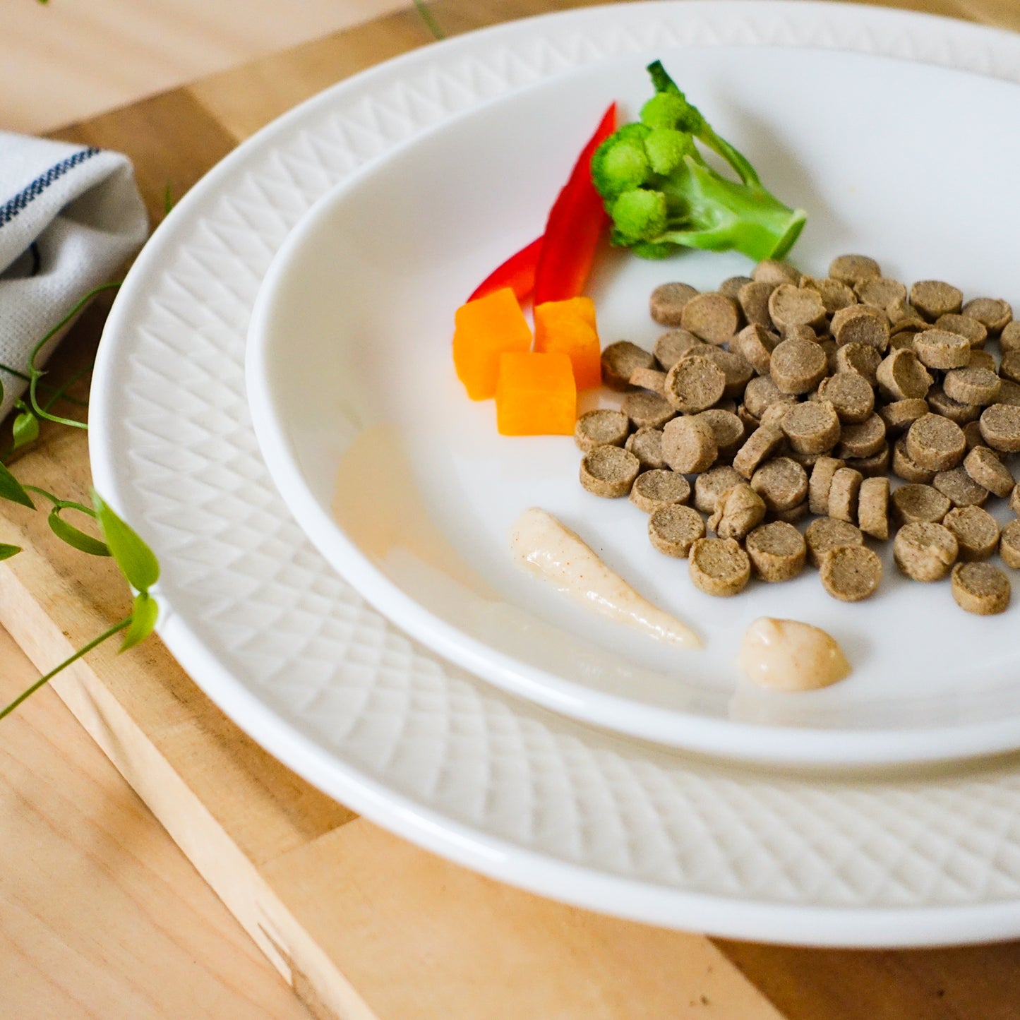 【yum yum yum!】ドッグフード チキン やわらかドライタイプ(ちょこっとパック80g)