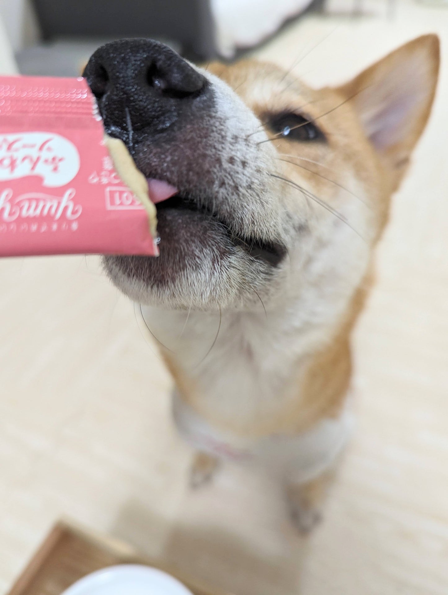 【yum yum yum!】 ふんわりソース仕立て チキン(10g×6本)