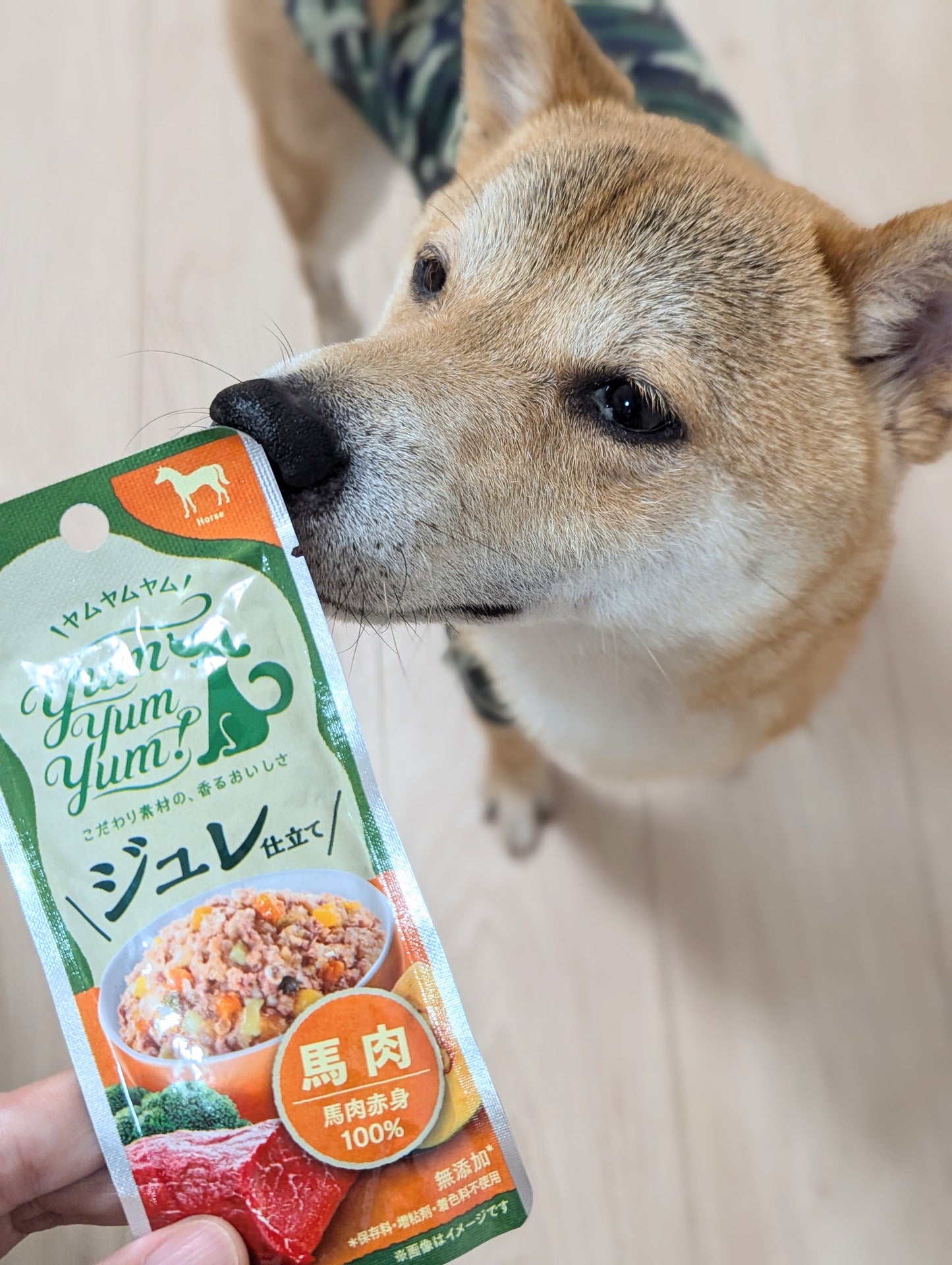 【yum yum yum!】ジュレ仕立て 馬肉(30g)