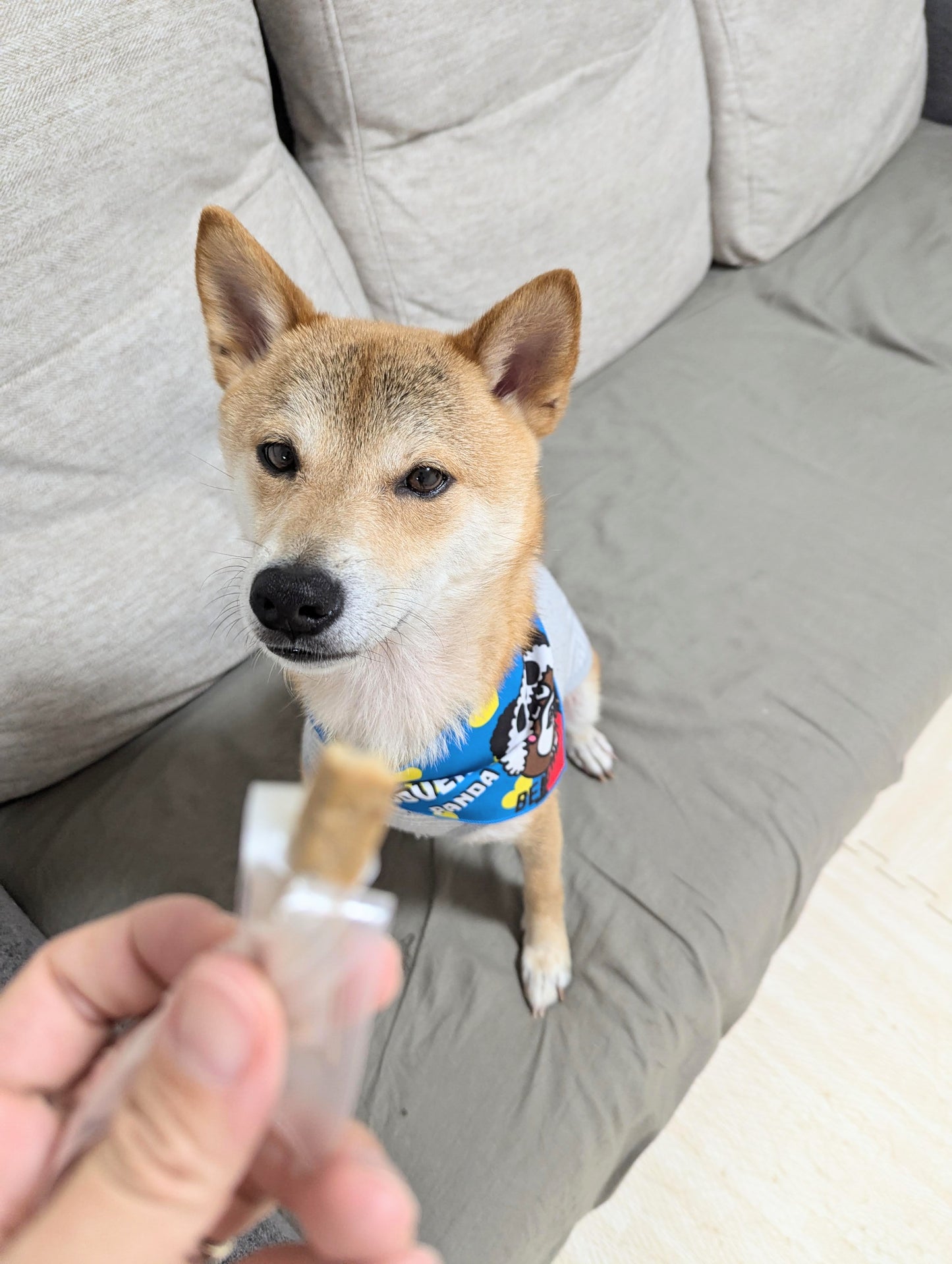 《お買い得・10%OFF対象商品》【きなり】鹿ジャーキー(しっとりやわらかジャーキー鹿肉)(6本入)