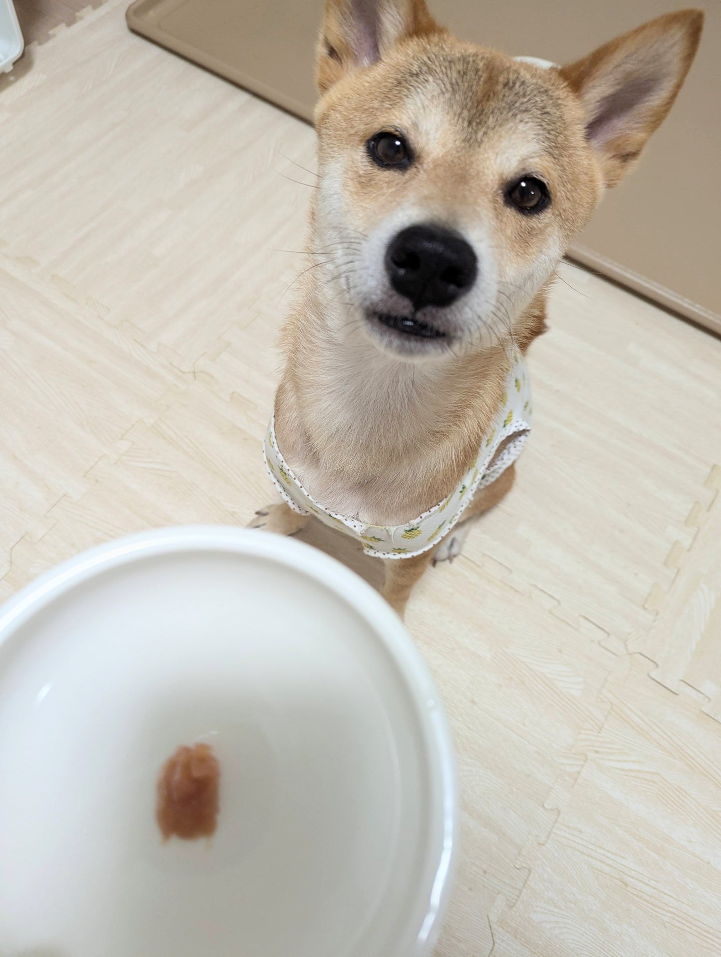 【きなり】りんごゼリー(くちどけやわらかゼリーりんご)(5g×10本)