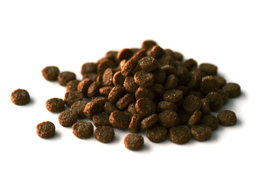 【KiaOra】DOG ドッグフード カンガルー(2.5kg)≪送料無料≫