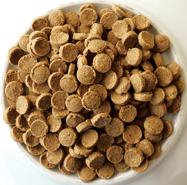 【yum yum yum!】ドッグフード 馬肉 ドライタイプ(ちょこっとパック50g)