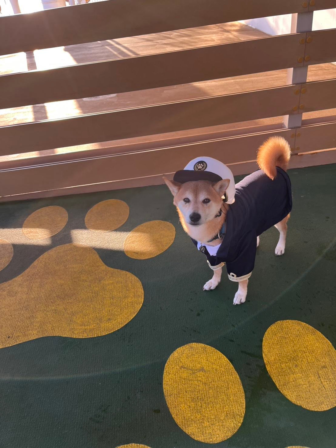 【さんふらわあ】ハルノ店長とフェリーで鹿児島県の旅①