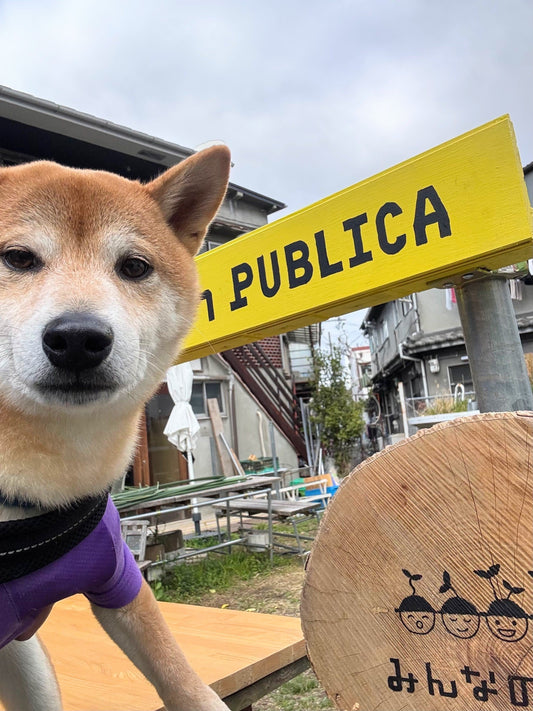 ＰＵＢＬＩＣＡ（プーブリカ）見学に行ってきました！