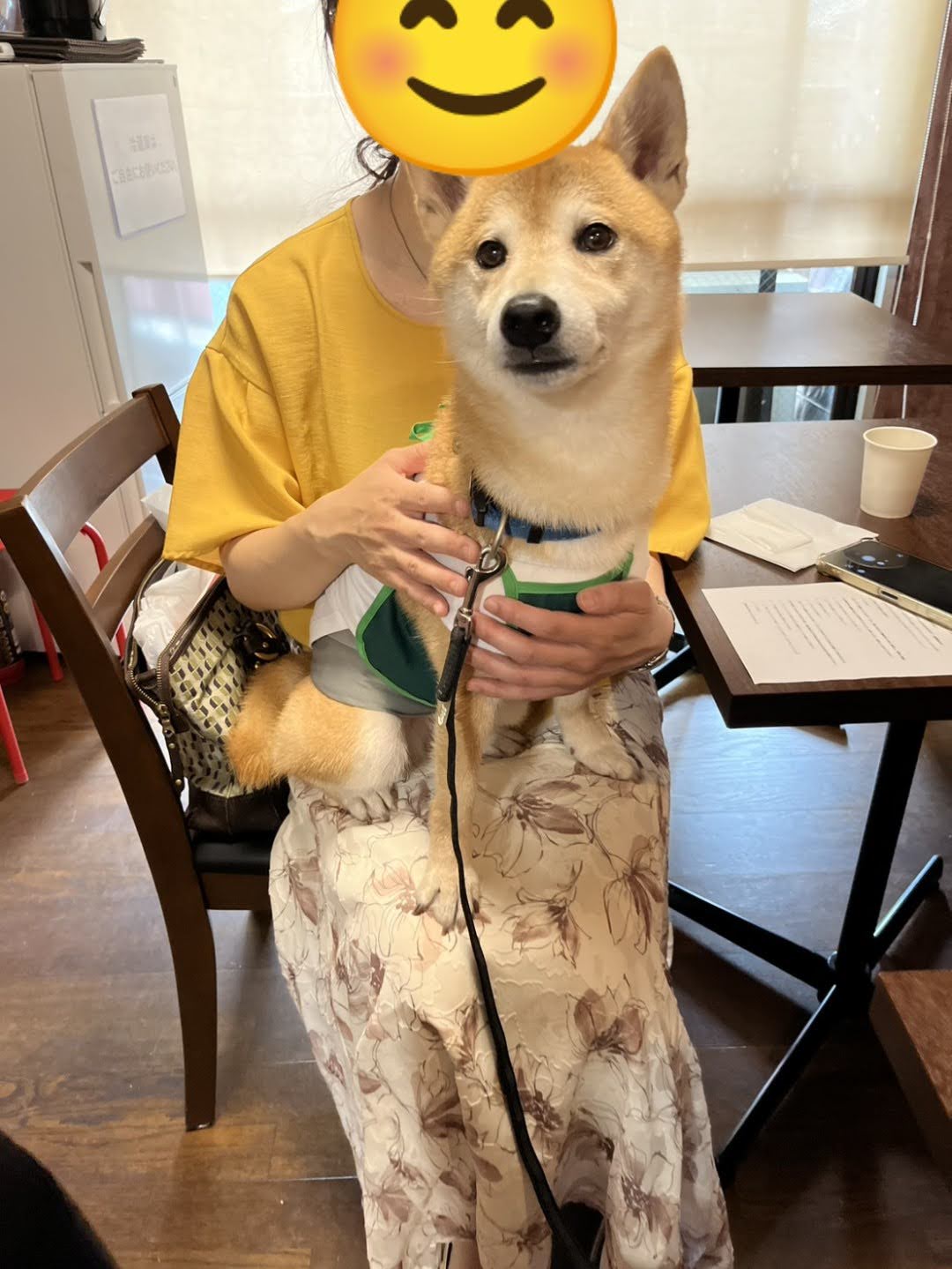 2026.7.19　十三ミニマルシェ　ＤＯＧ+ＣＡＦＥ開催しました！