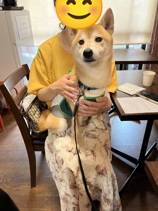 2026.7.19　十三ミニマルシェ　ＤＯＧ+ＣＡＦＥ開催しました！