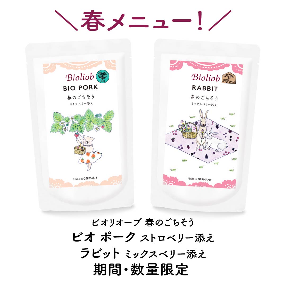 bioliob（ビオリオーブ）春のごちそう入荷しました(^^)/