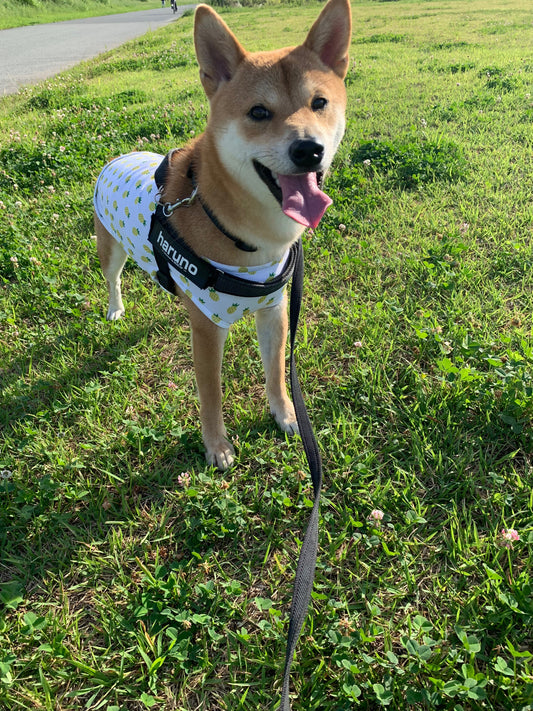 意外と足りていない！？【一日に必要な水分量】はどのくらい？