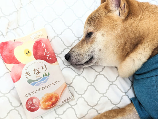 【きなり】くちどけ　やわらかゼリーのおすすめポイント４点!(^^)!