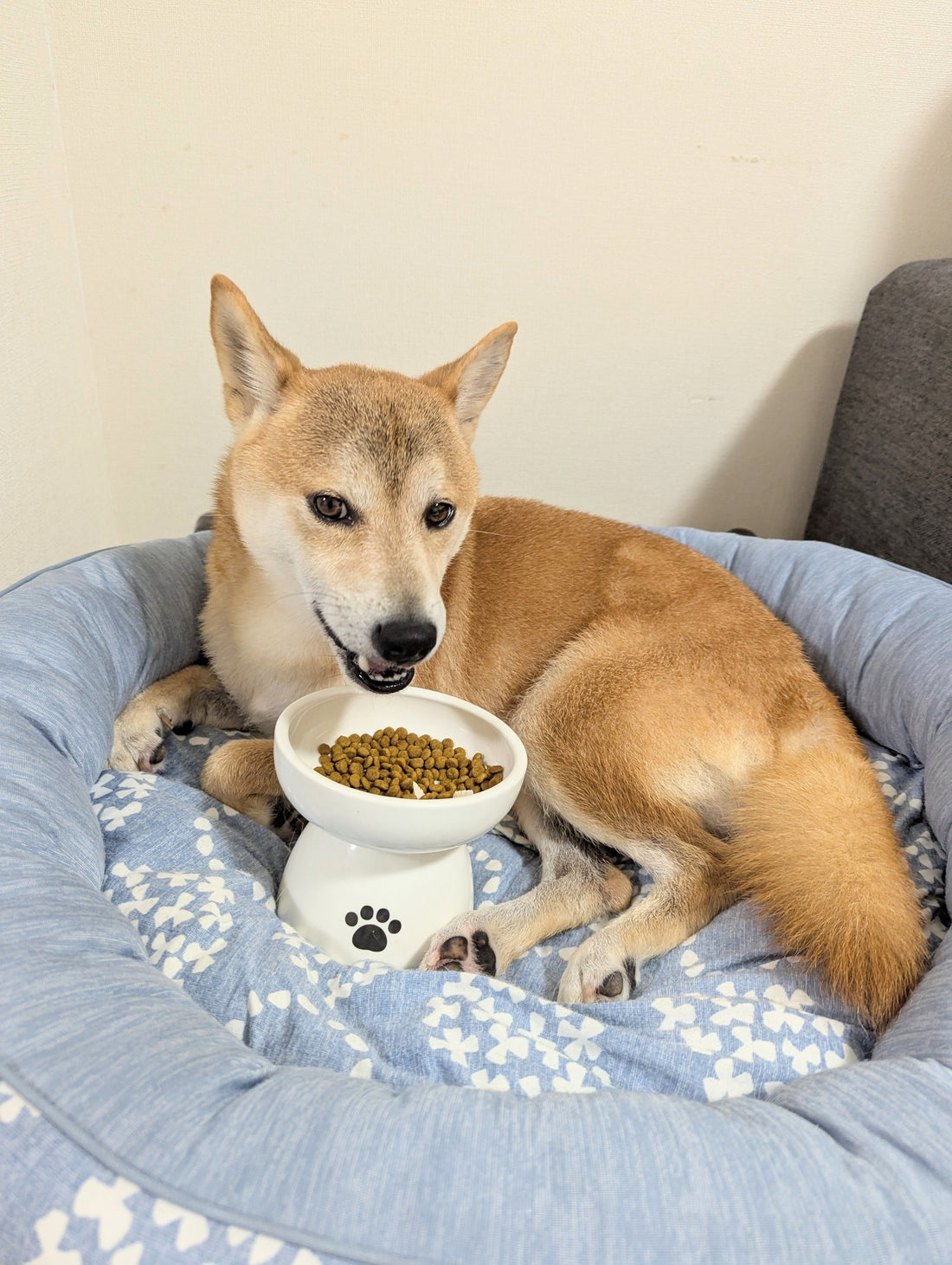 「残暑ケア」９月の旬の食材などをプラスアルファで健康維持!(^^)!