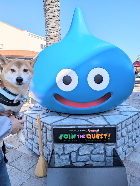 「犬と暮らす×仕事」アンケートを実施しました！