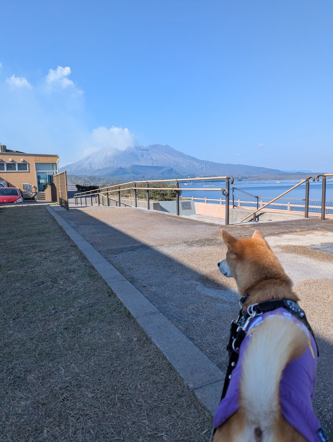 【ハルノ店長とフェリーで鹿児島県の旅②】２日目：桜島～霧島神宮