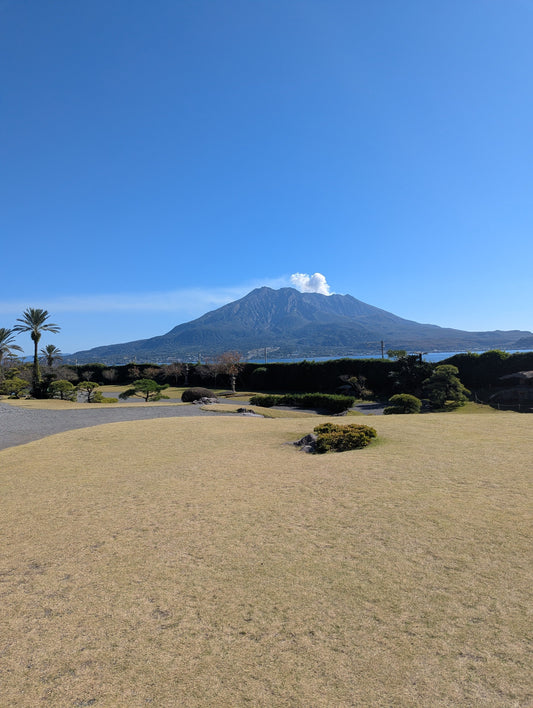 【ハルノ店長とフェリーで鹿児島県の旅③】3日目：仙厳園～天文館通り（蒸気屋）～帰路