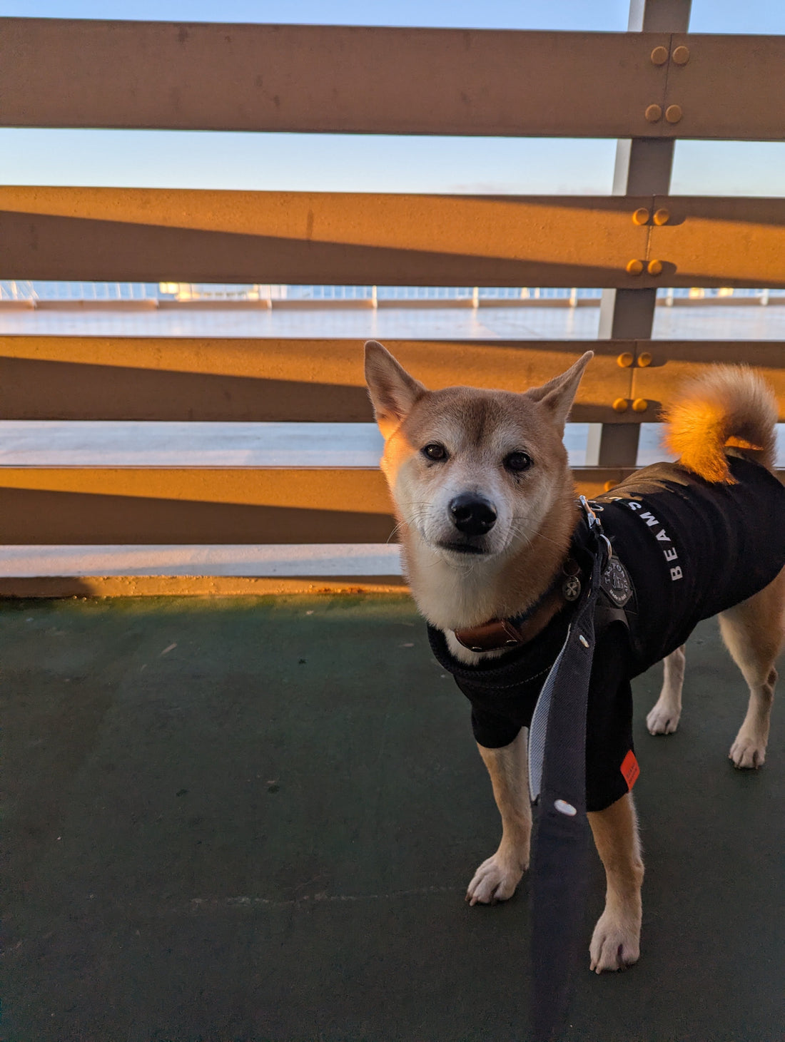 【ハルノ店長とフェリーで鹿児島県の旅④】４日目：大阪南港行きフェリー（帰路）