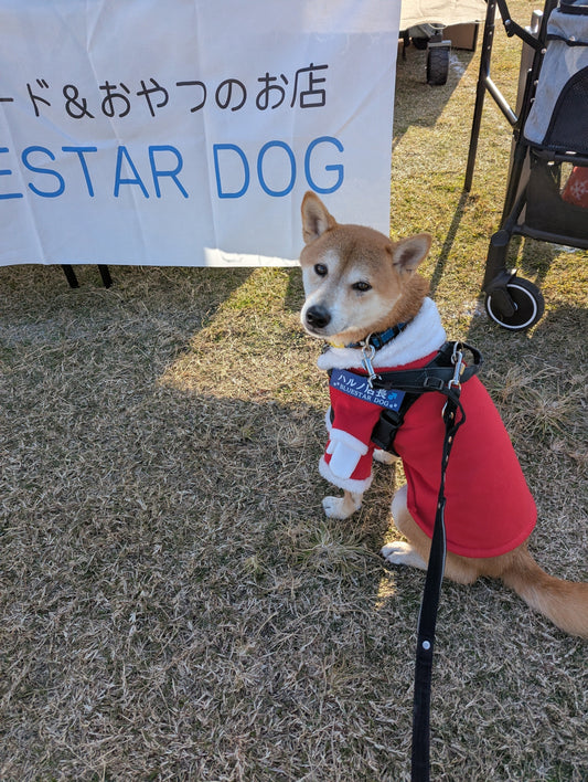 【淀川アーバンマルシェ】2025.12.7出店しました(^^)/
