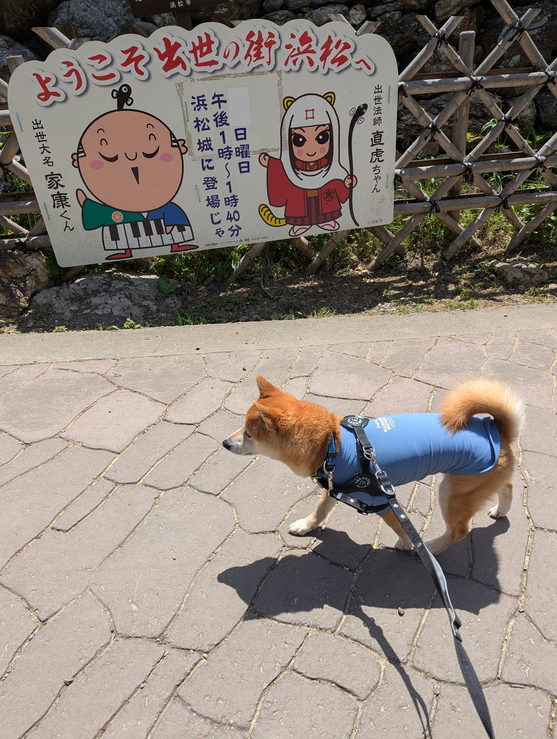 ハルノ店長と初めての浜名湖②～浜松城～浜名湖ガーデンパーク(*'▽')