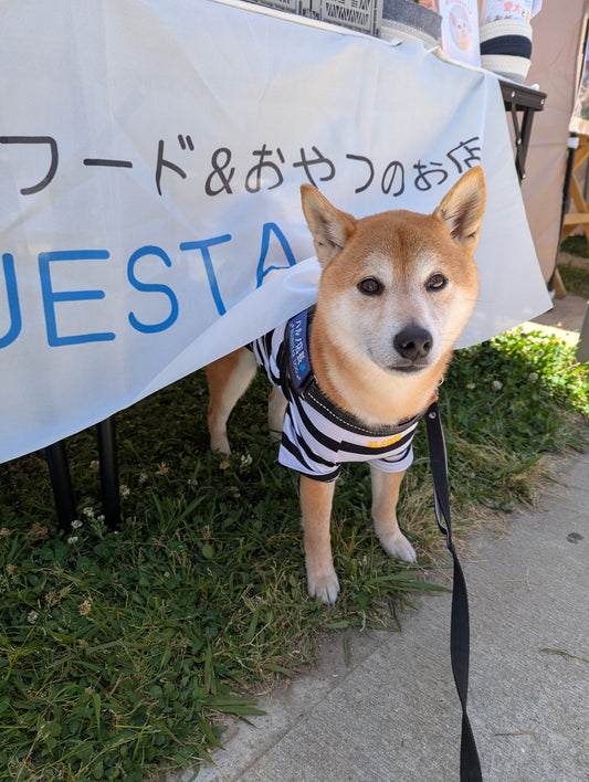 2026.5.17（日）淀川アーバンマルシェに出店しました！
