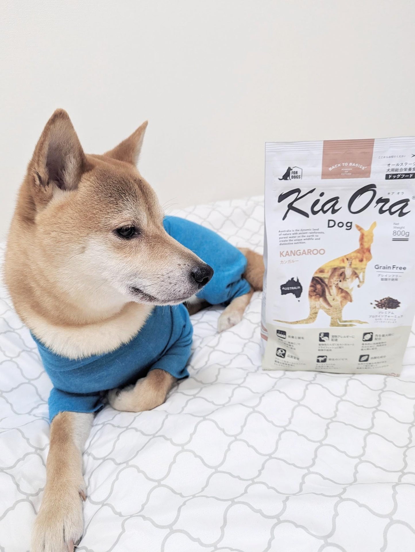 【kiaOra】DOG　ドッグフード　ラム＆サーモン2.7kg　≪送料無料≫