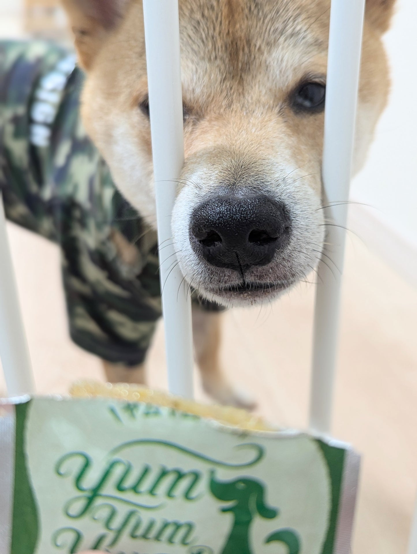 new【yumyumyum!】ハイシニア１３　ウェットタイプ　チキン80g