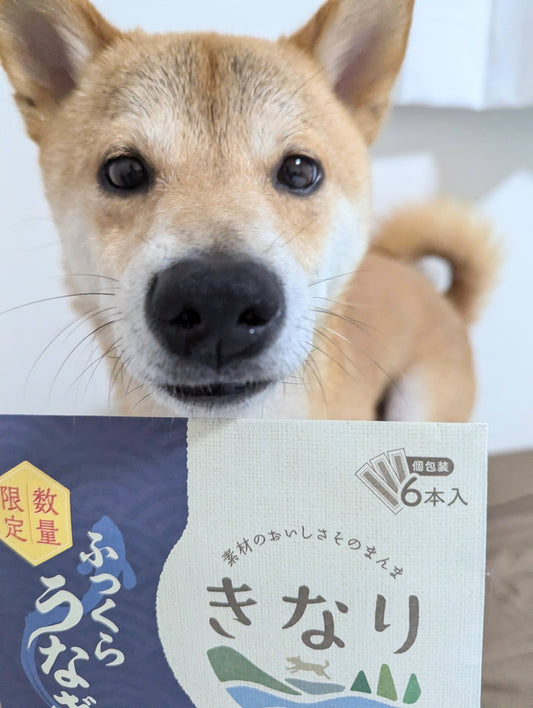 ★【きなり】しっとりやわらかジャーキー　ふっくらうなぎ（6本入）