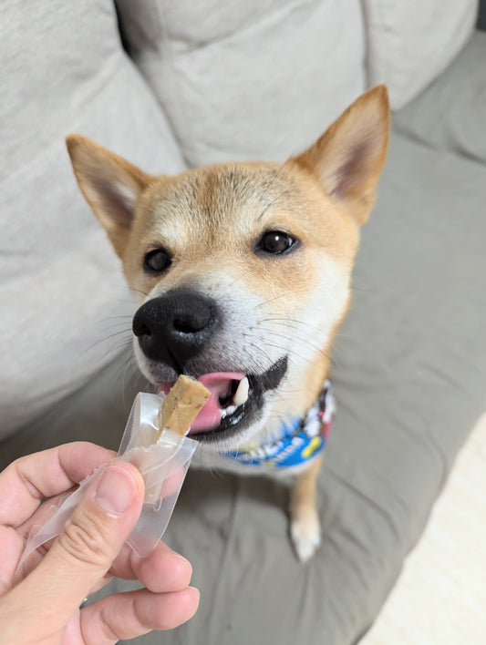 ★【きなり】しっとりやわらかジャーキー　ふっくらうなぎ（6本入）