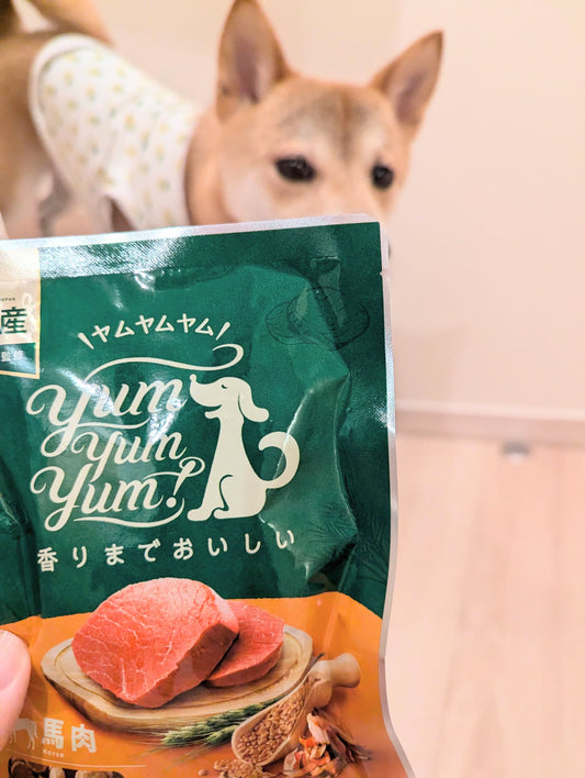 ★10％OFF★【yum yum yum！】ドッグフード 馬肉 ドライタイプ（ちょこっとパック50g）