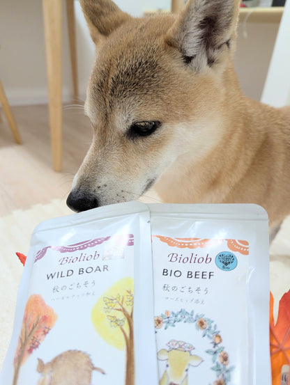 ★季節限定★【Bioliob/ビオリオーブ】　ビオ ビーフ 秋のごちそう ローズヒップ添え